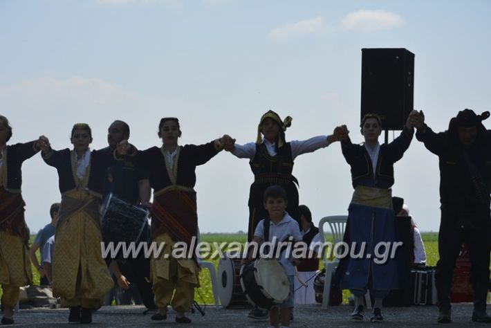 alexandriamou.gr_trikala28.5.2018030